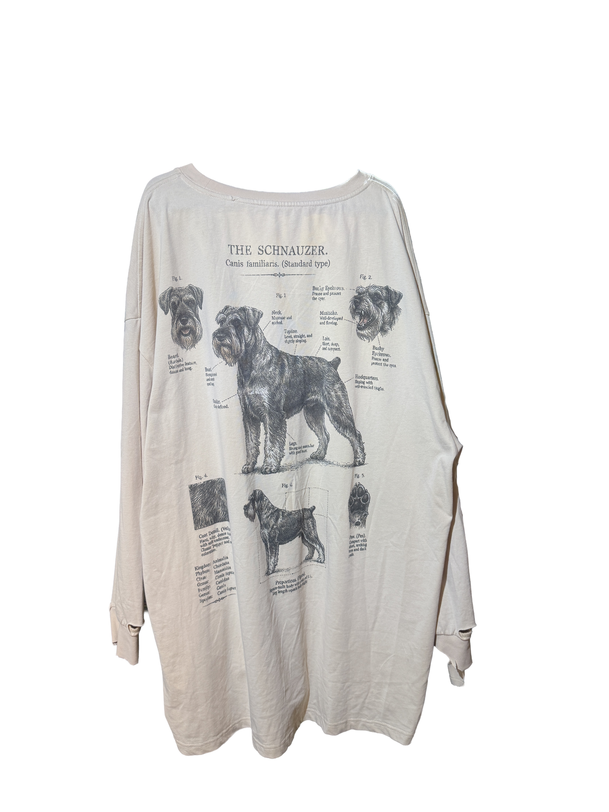 Schnauzer L/S